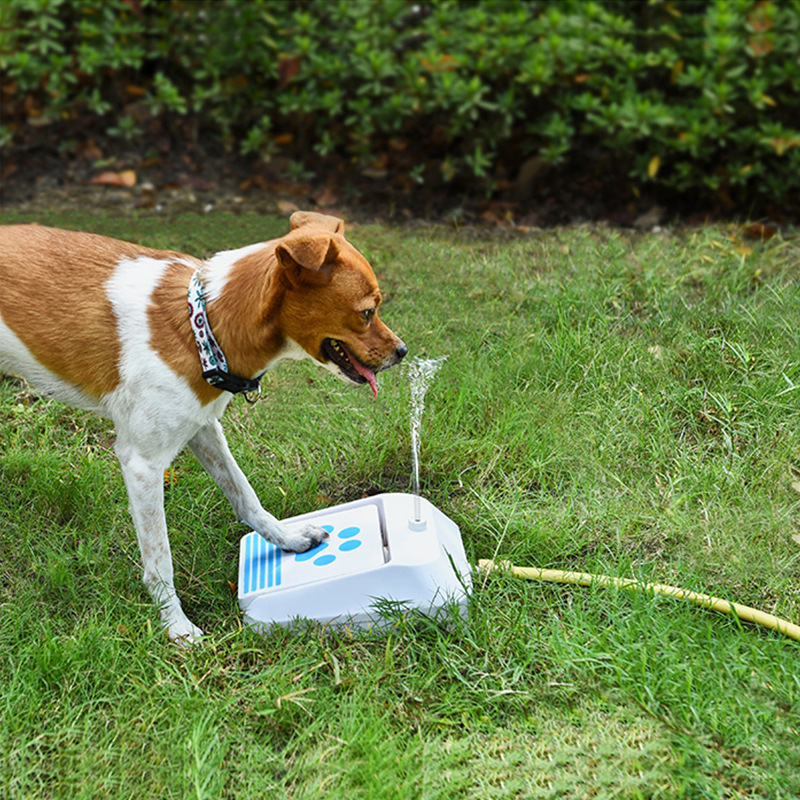 Outdoor Smart Dog Water Feeder