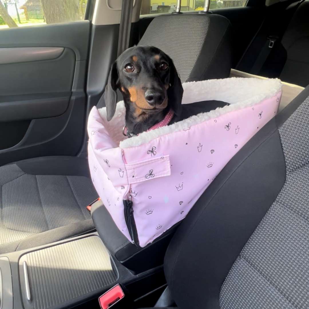 PawStars Pet Carpool Seat